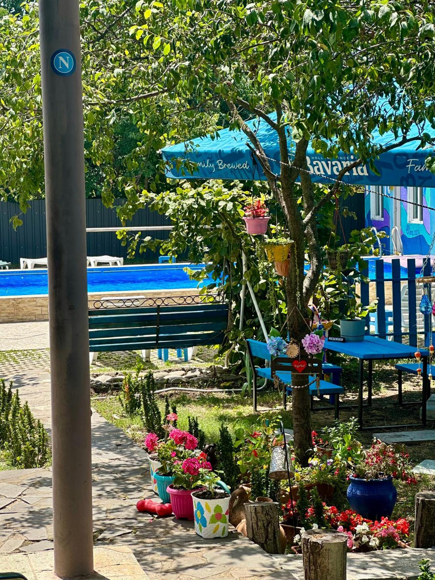 Napoli Nataxtari Hotel,Pool,Bar,Kamping Natakhtari ภายนอก รูปภาพ